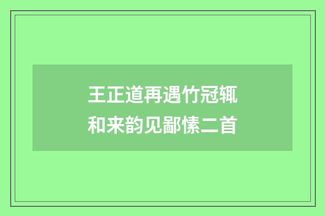 王正道再遇竹冠辄和来韵见鄙愫二首