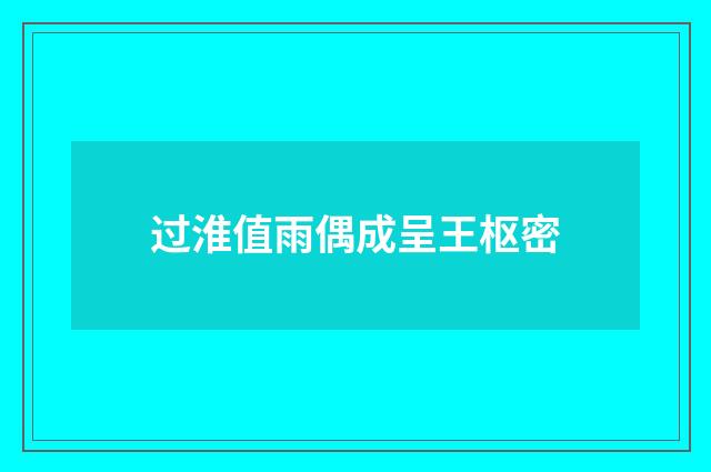 过淮值雨偶成呈王枢密