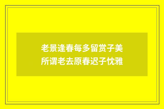 老景逢春每多留赏子美所谓老去原春迟子忱雅