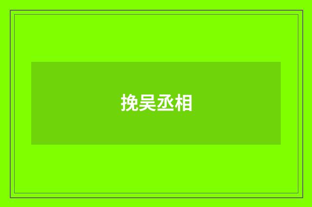 挽吴丞相