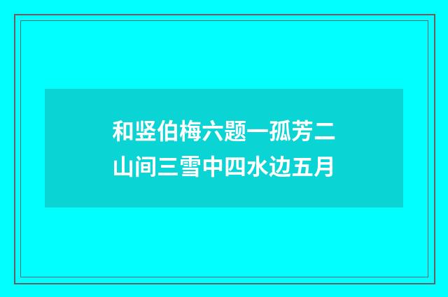 和竖伯梅六题一孤芳二山间三雪中四水边五月