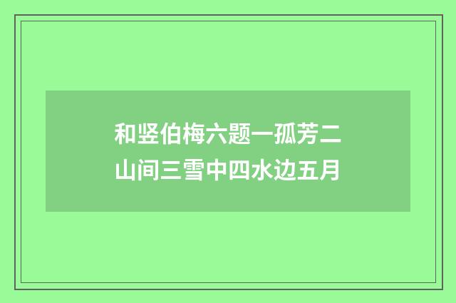 和竖伯梅六题一孤芳二山间三雪中四水边五月