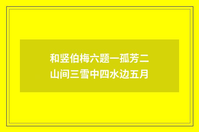 和竖伯梅六题一孤芳二山间三雪中四水边五月