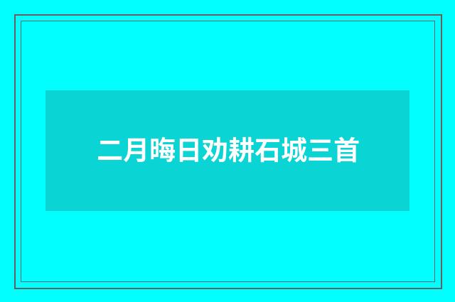 二月晦日劝耕石城三首