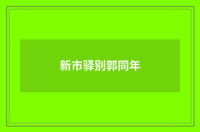 新市驿别郭同年