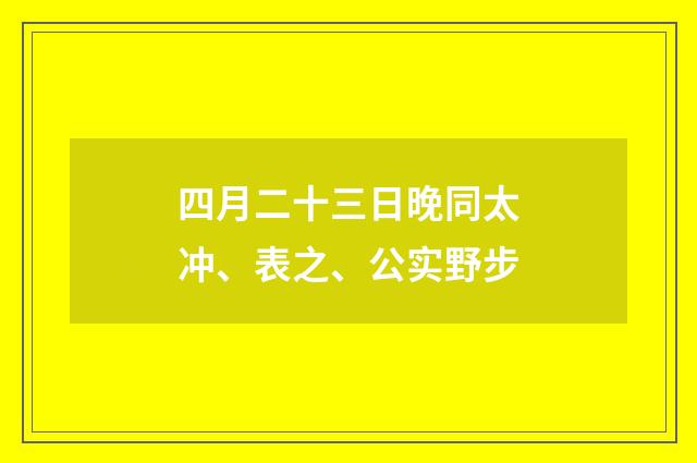 四月二十三日晚同太冲、表之、公实野步