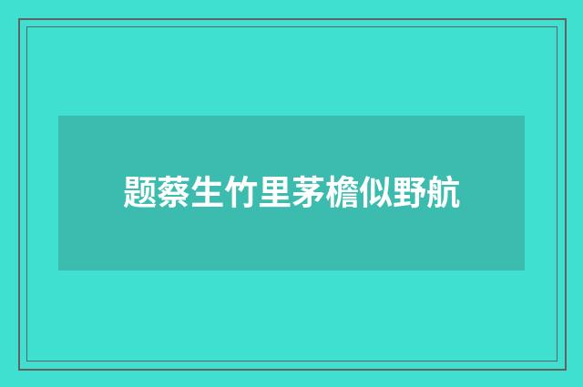 题蔡生竹里茅檐似野航