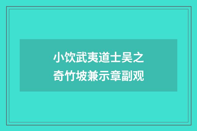 小饮武夷道士吴之奇竹坡兼示章副观