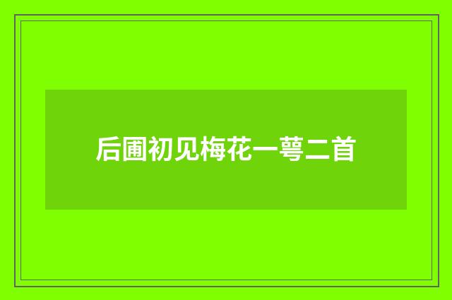 后圃初见梅花一萼二首