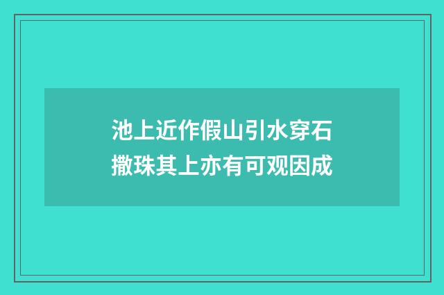 池上近作假山引水穿石撒珠其上亦有可观因成