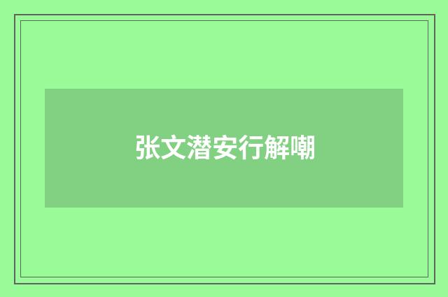 张文潜安行解嘲
