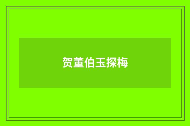 贺董伯玉探梅