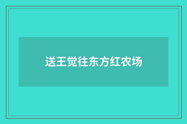 送王觉往东方红农场