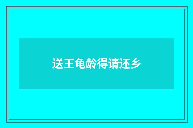 送王龟龄得请还乡
