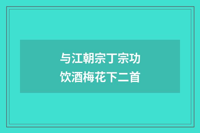 与江朝宗丁宗功饮酒梅花下二首