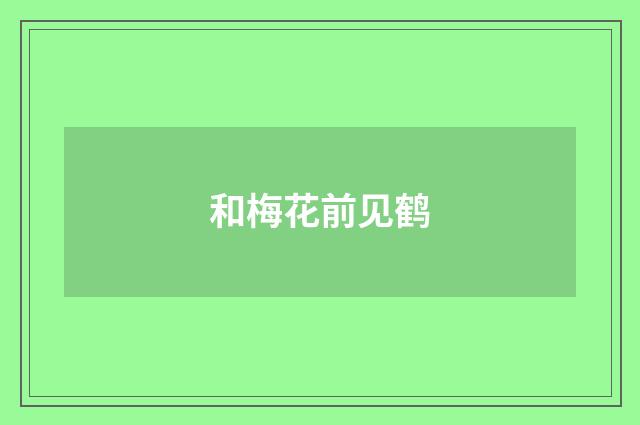 和梅花前见鹤