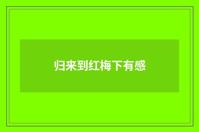 归来到红梅下有感