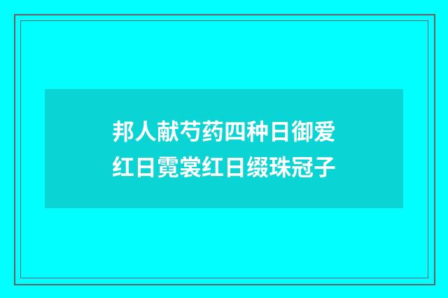 邦人献芍药四种日御爱红日霓裳红日缀珠冠子