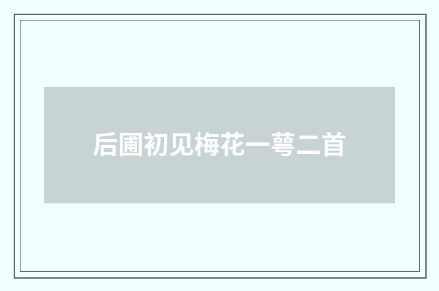 后圃初见梅花一萼二首