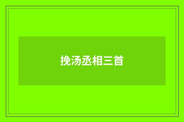 挽汤丞相三首