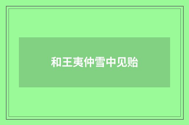 和王夷仲雪中见贻