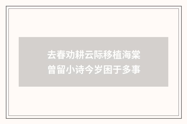 去春劝耕云际移植海棠曾留小诗今岁困于多事