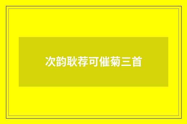 次韵耿荐可催菊三首