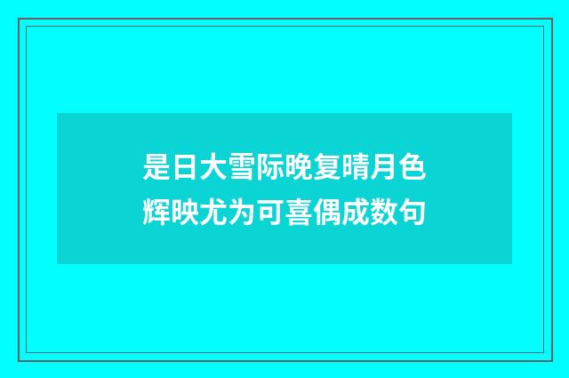 是日大雪际晚复晴月色辉映尤为可喜偶成数句