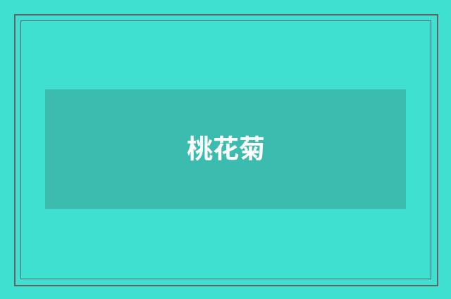 桃花菊