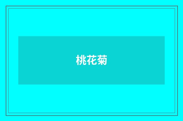 桃花菊