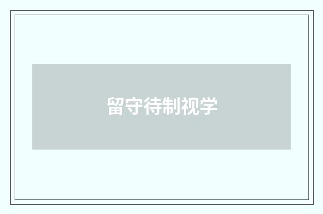 留守待制视学