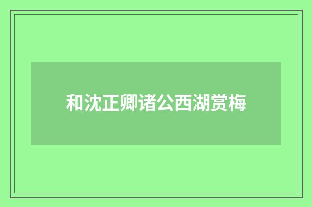 和沈正卿诸公西湖赏梅