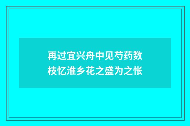 再过宜兴舟中见芍药数枝忆淮乡花之盛为之怅