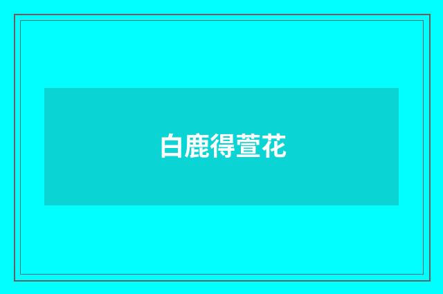 白鹿得萱花