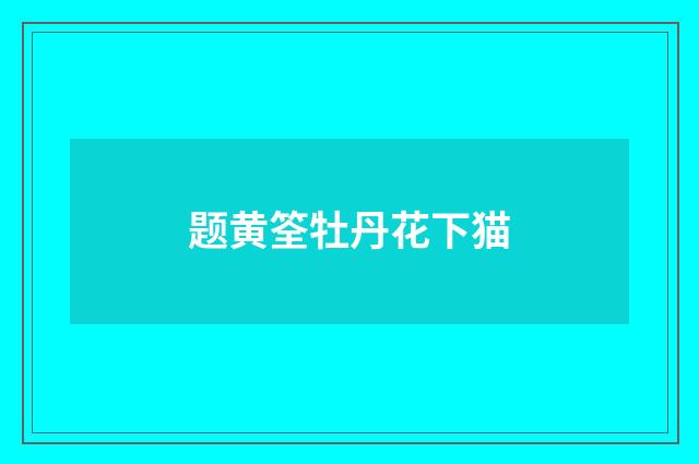 题黄筌牡丹花下猫
