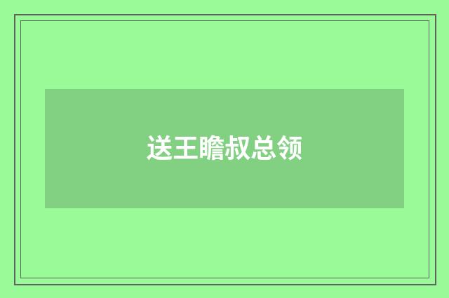 送王瞻叔总领