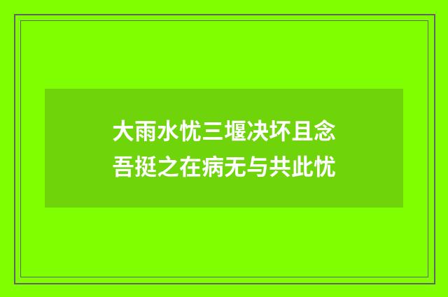 大雨水忧三堰决坏且念吾挺之在病无与共此忧
