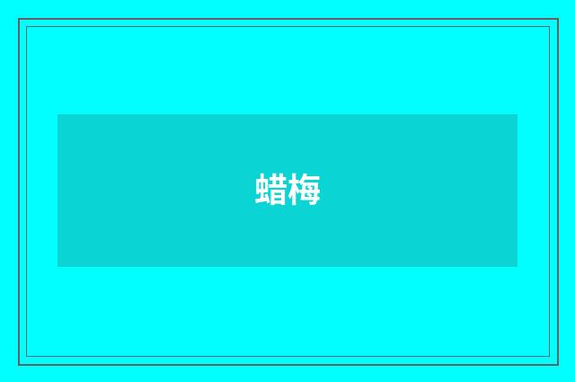 蜡梅