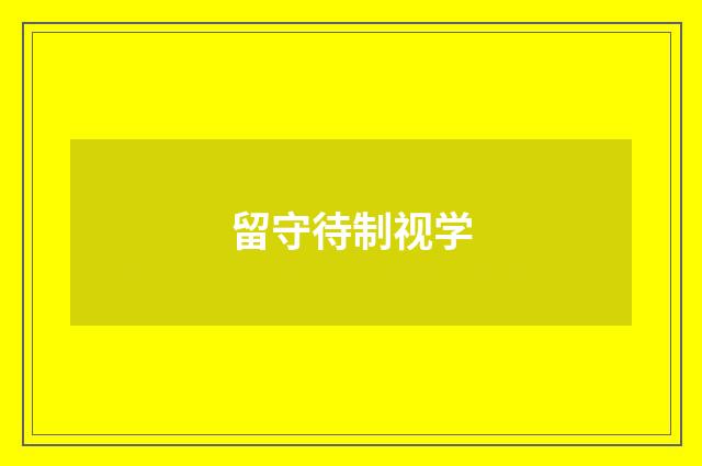留守待制视学