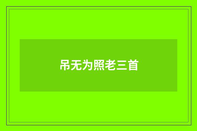 吊无为照老三首