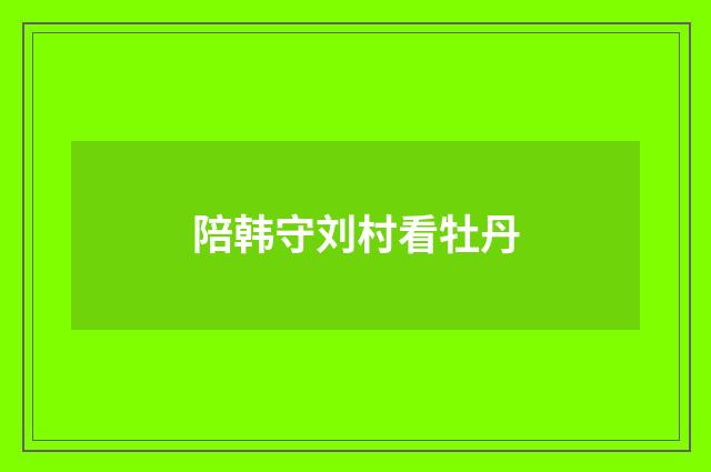 陪韩守刘村看牡丹