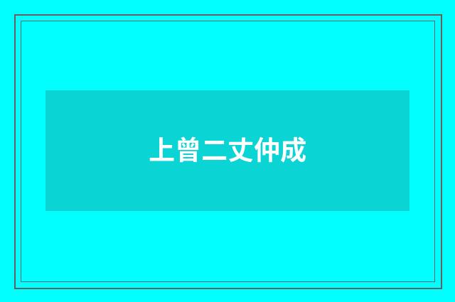 上曾二丈仲成