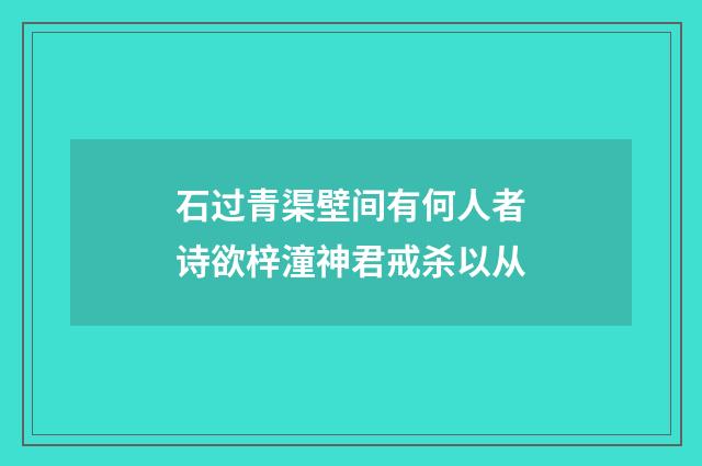 石过青渠壁间有何人者诗欲梓潼神君戒杀以从