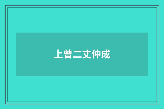 上曾二丈仲成