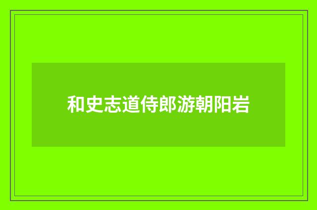 和史志道侍郎游朝阳岩
