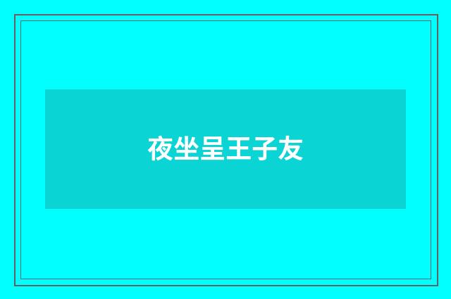 夜坐呈王子友