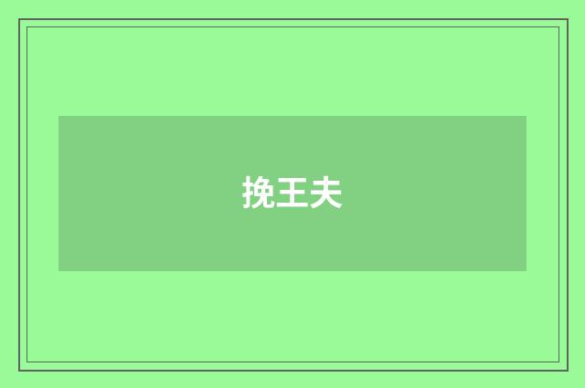 挽王夫