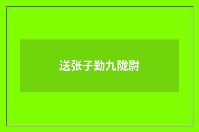 送张子勤九陇尉