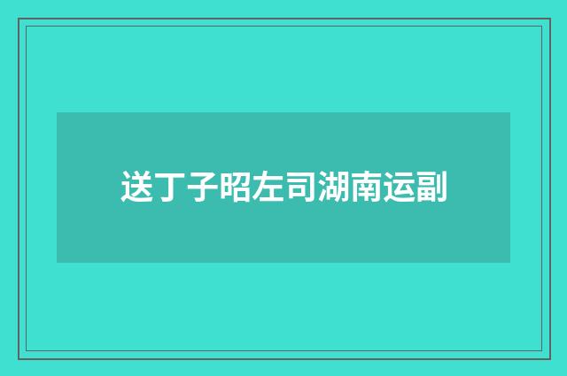 送丁子昭左司湖南运副