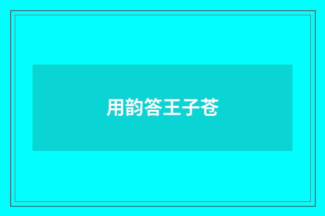 用韵答王子苍